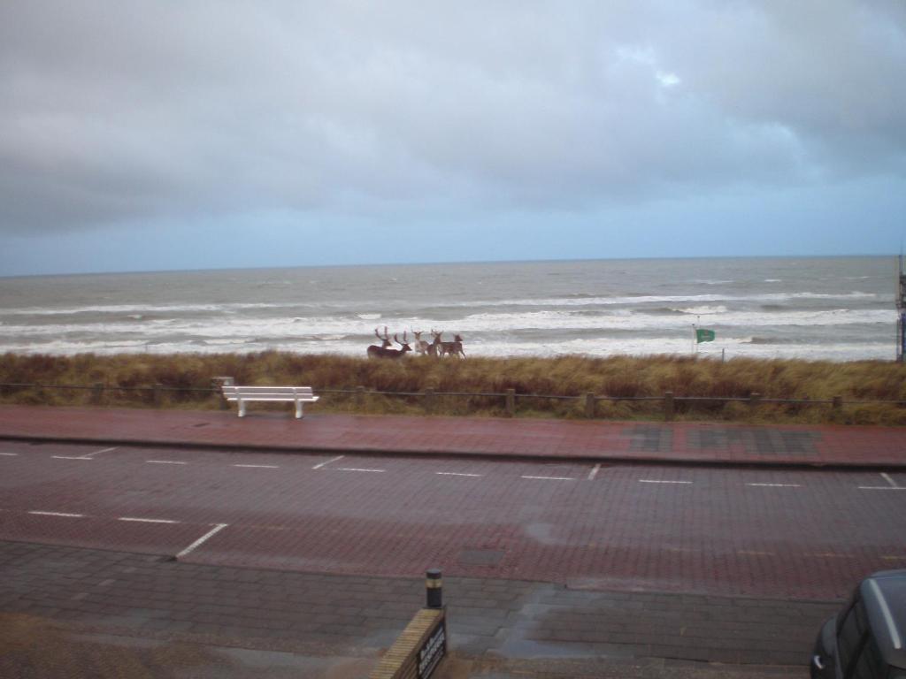 B&B Zeespiegel Zandvoort Quarto foto